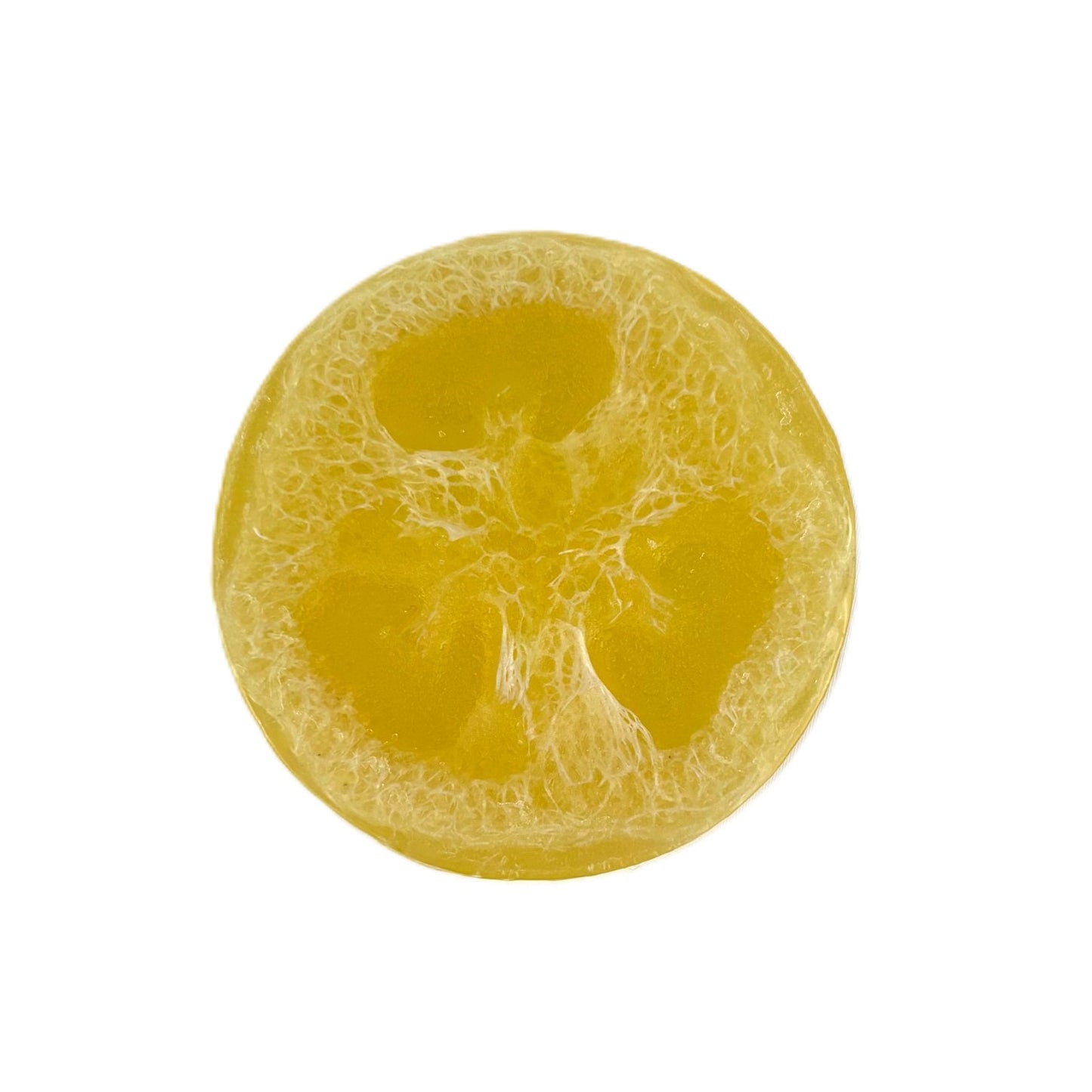 Tropical Paradise Luffa Soap
